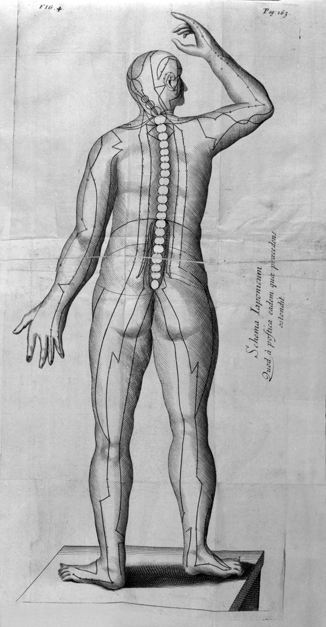 W.Ten Ren tarafından De Akupunktur. Londra 1683. Akupunktur ile ilgili ilk Batı metni. by Unknown artist