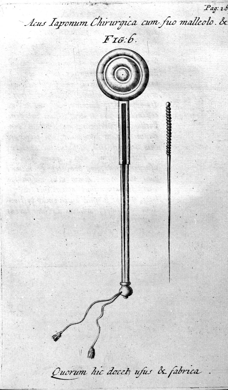 W.Ten Ren tarafından De Akupunktur. Londra 1683. Akupunktur ile ilgili ilk Batı metni. by Unknown artist