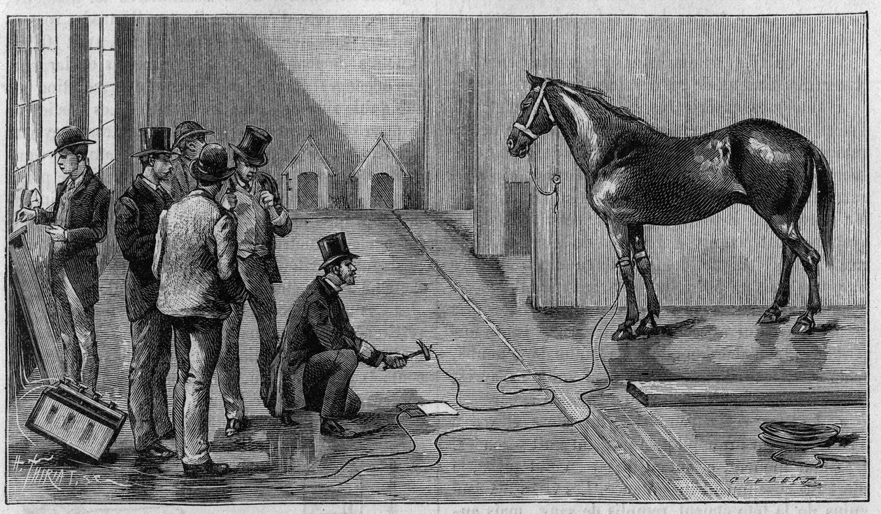 Elektrikle Ölüm: Edison, Orange (Amerika Birleşik Devletleri) Laboratuvarında gerçekleştirilen bir deney sırasında bir at elektrikle öldürür. 19 Ocak 1889 tarihli “” La Nature: revue des sciences et de leurs apps aux arts et a l