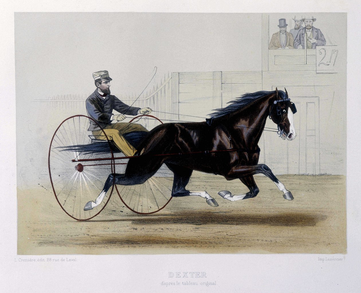 Dexter trotteur - “” Centaur” da by Unknown artist