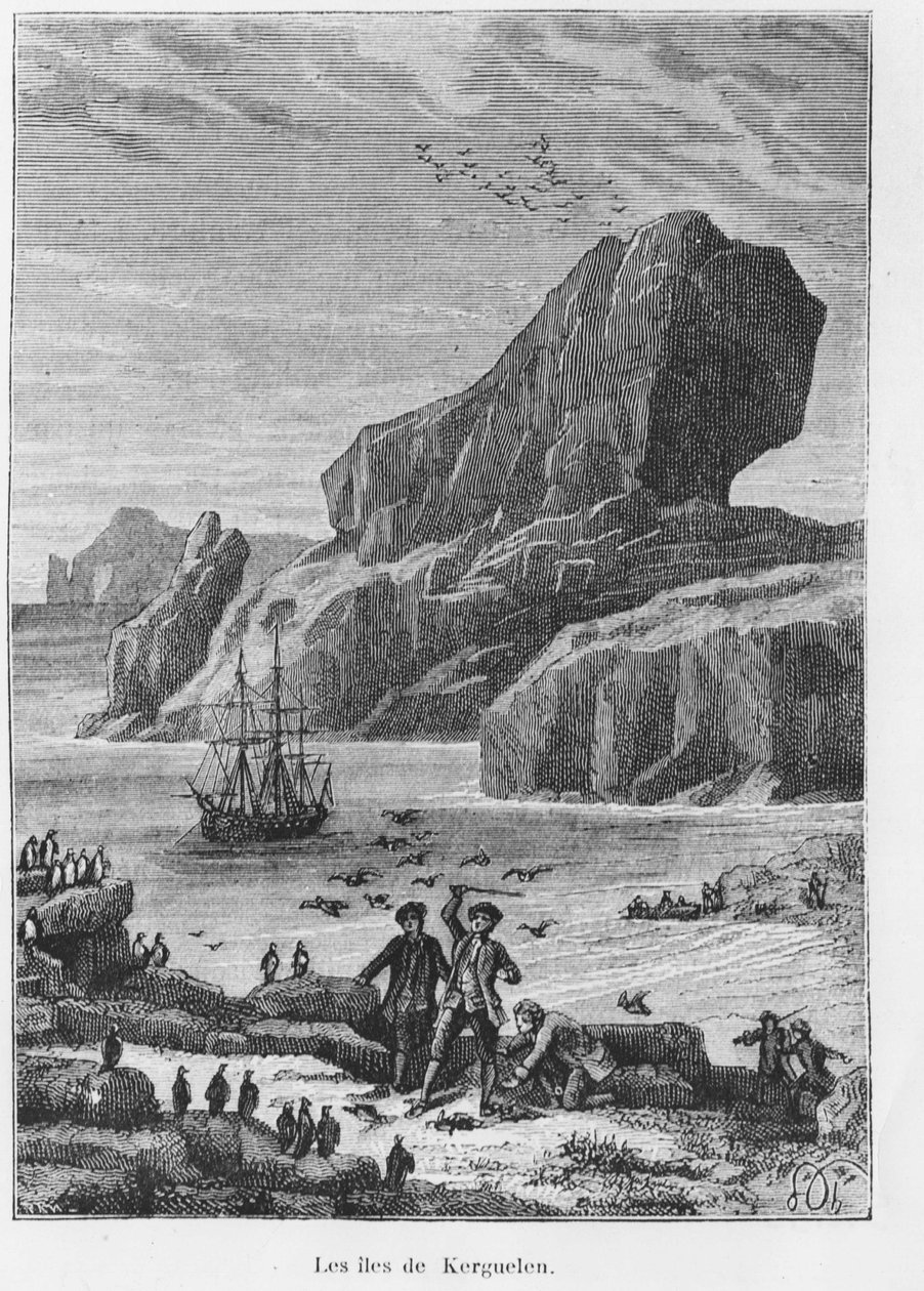Keşifler ve keşifler: Kerguelen adaları - “” Voyageurs du 18. ve 19. yüzyılda, Jules Verne, ed. Hetzel ve Cie, Paris. by Unknown artist