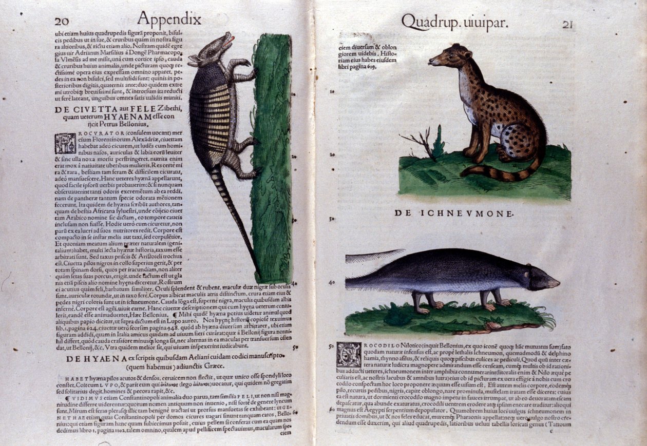 Conrad Gesner (1516 - 1565), Tiguri tarafından yazılan Historia Animalium