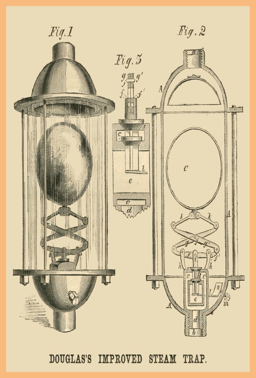 Douglas Geliştirilmiş Buhar Kapanı by Unknown Artist