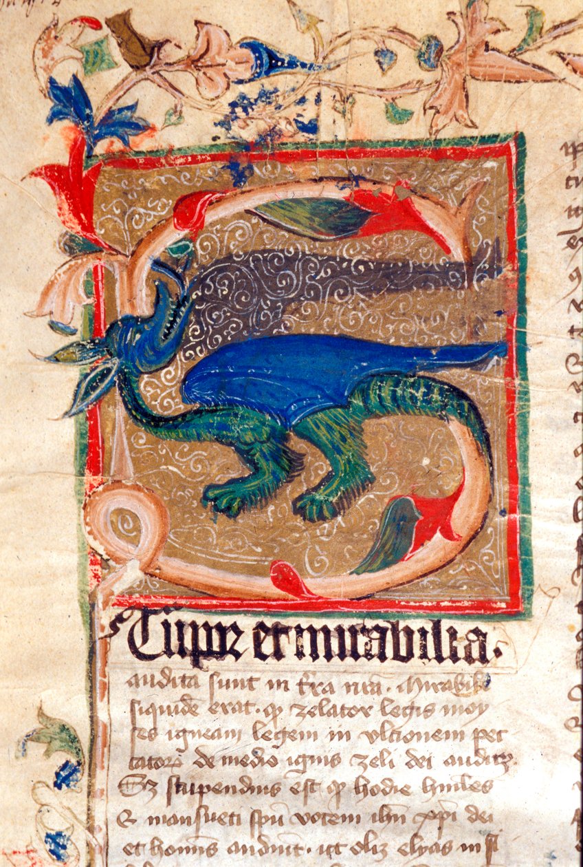 14. yüzyıl el yazması Dragon Decoree Lettrine Detay by Unknown artist