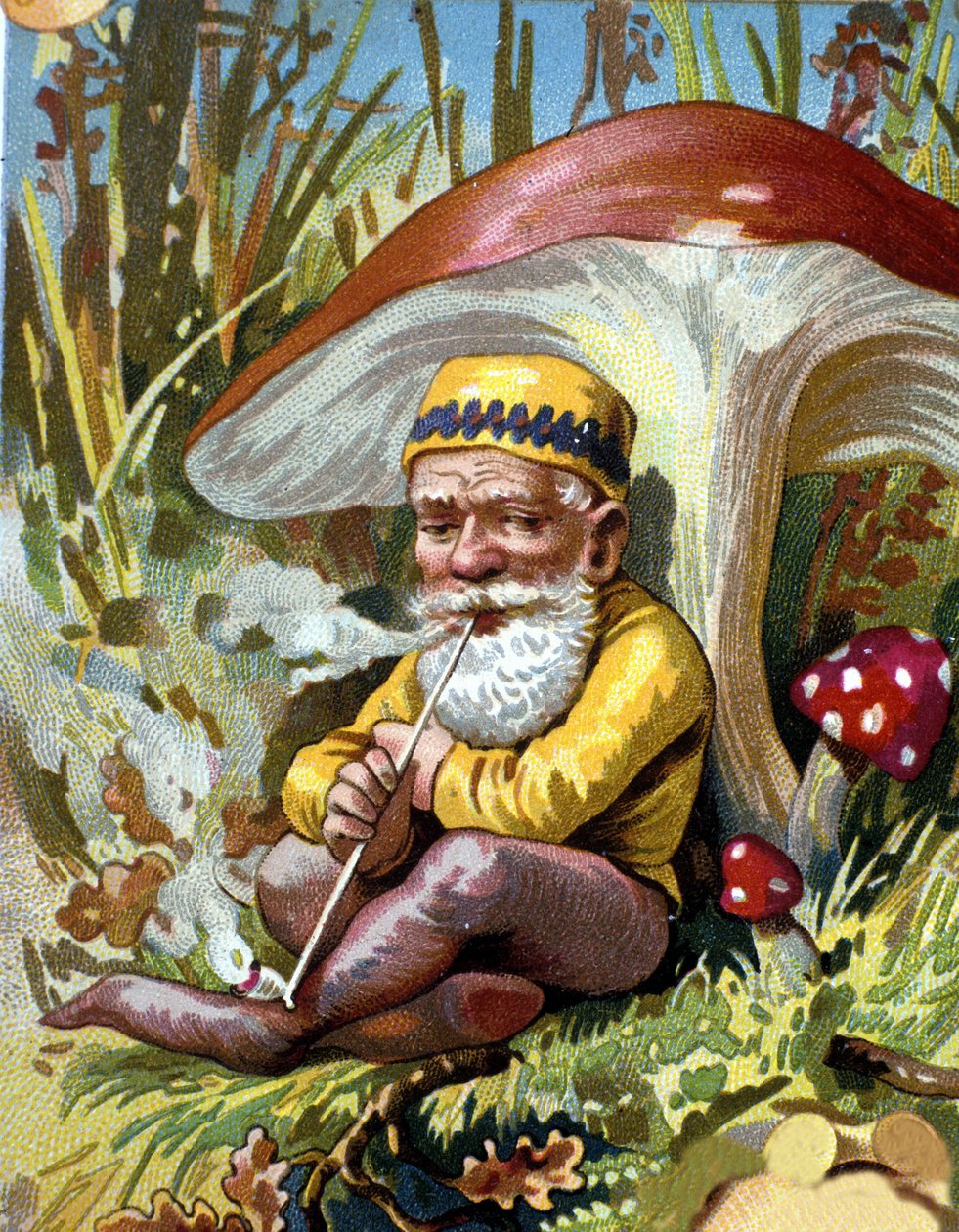 Cüce veya farfadet pipo içiyor. 19. yüzyıl kromolitografisi. by Unknown artist