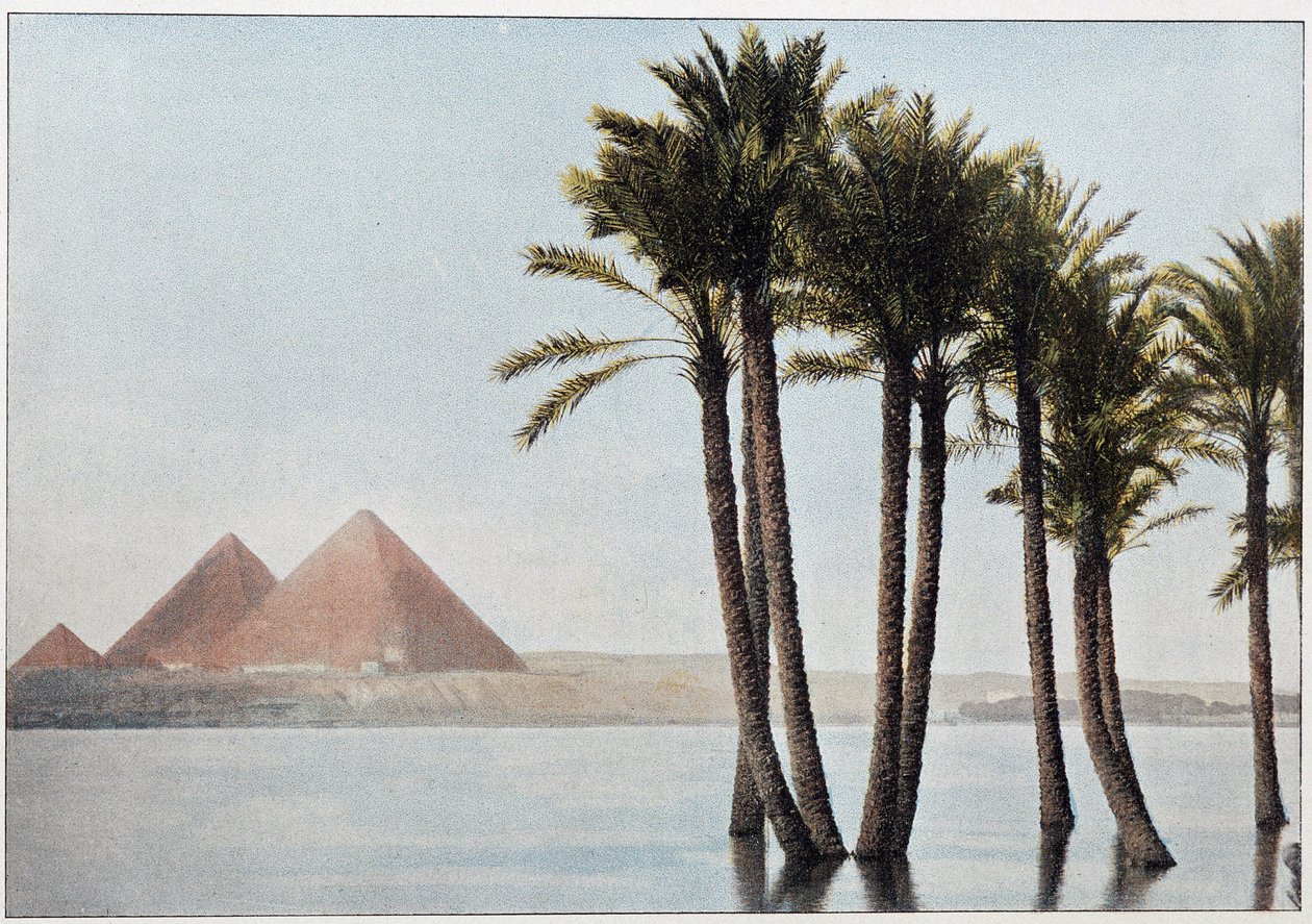 Mısır: Nil seli ve Giza piramitleri (Gizeh, Gizeh, Giza). by Unknown artist