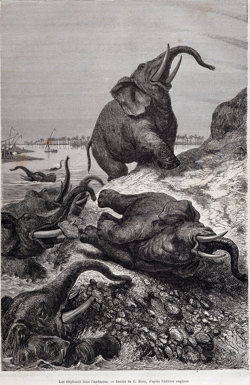 Sir Samuel White Baker tarafından görevlendirilen Orta Afrika seferi nedeniyle bir nehir kıyısına tırmanan filler, “Tour du monde” by Unknown artist