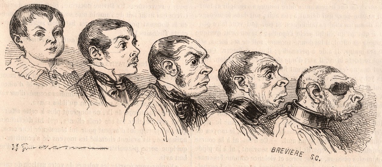 Bir çocuğun yetişkinliğe evrimi ve yetişkinin bir canavara dönüşmesi by Unknown