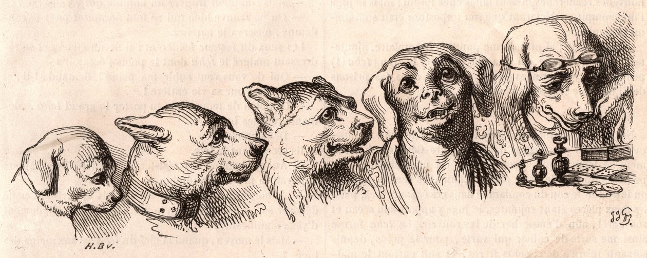 Bir köpeğin insan formuna evrimi by Unknown