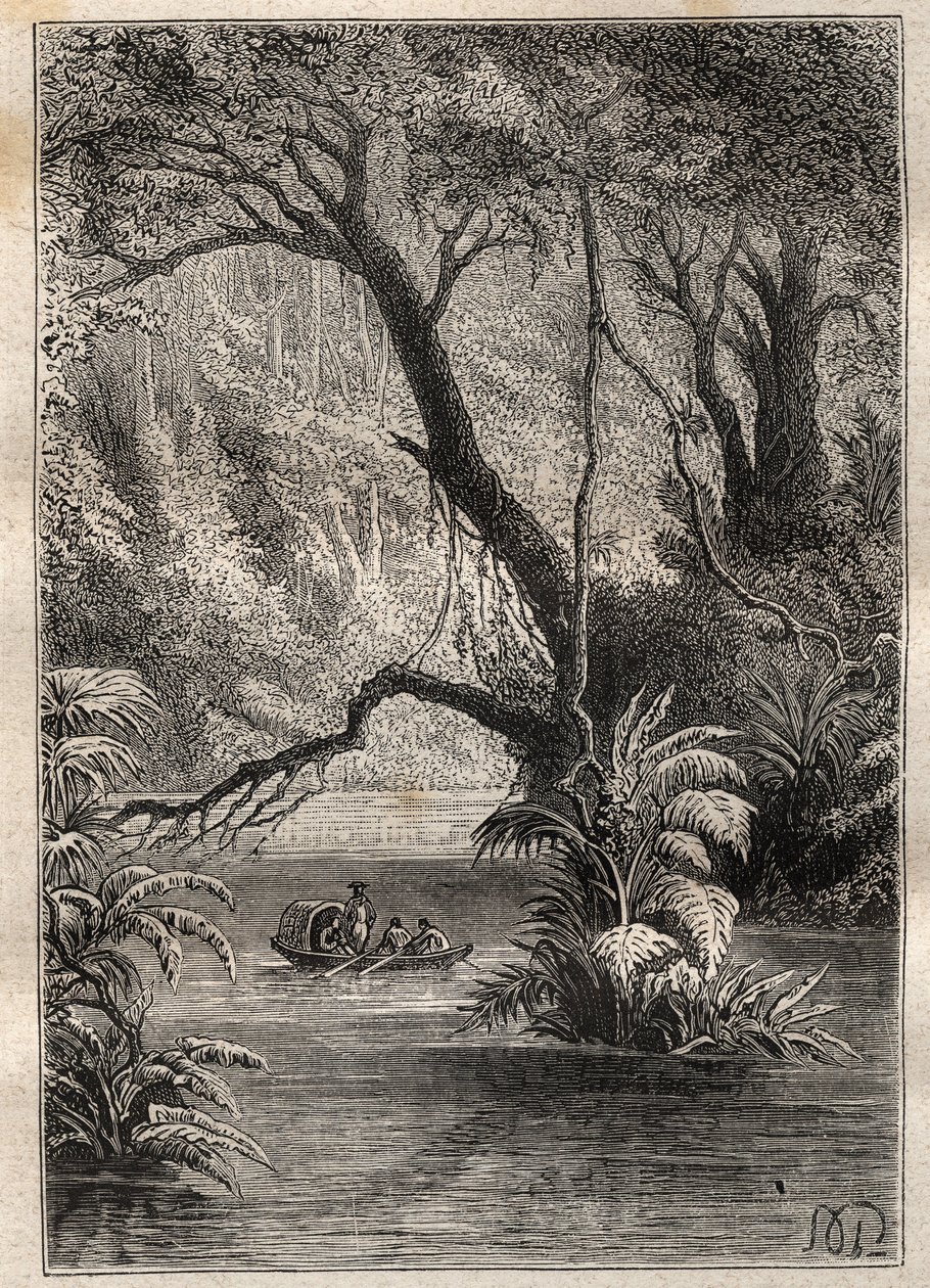 Alexander von Humboldt (1769-1859) ve Aime Bonpland (1773-1858) tarafından Amerika