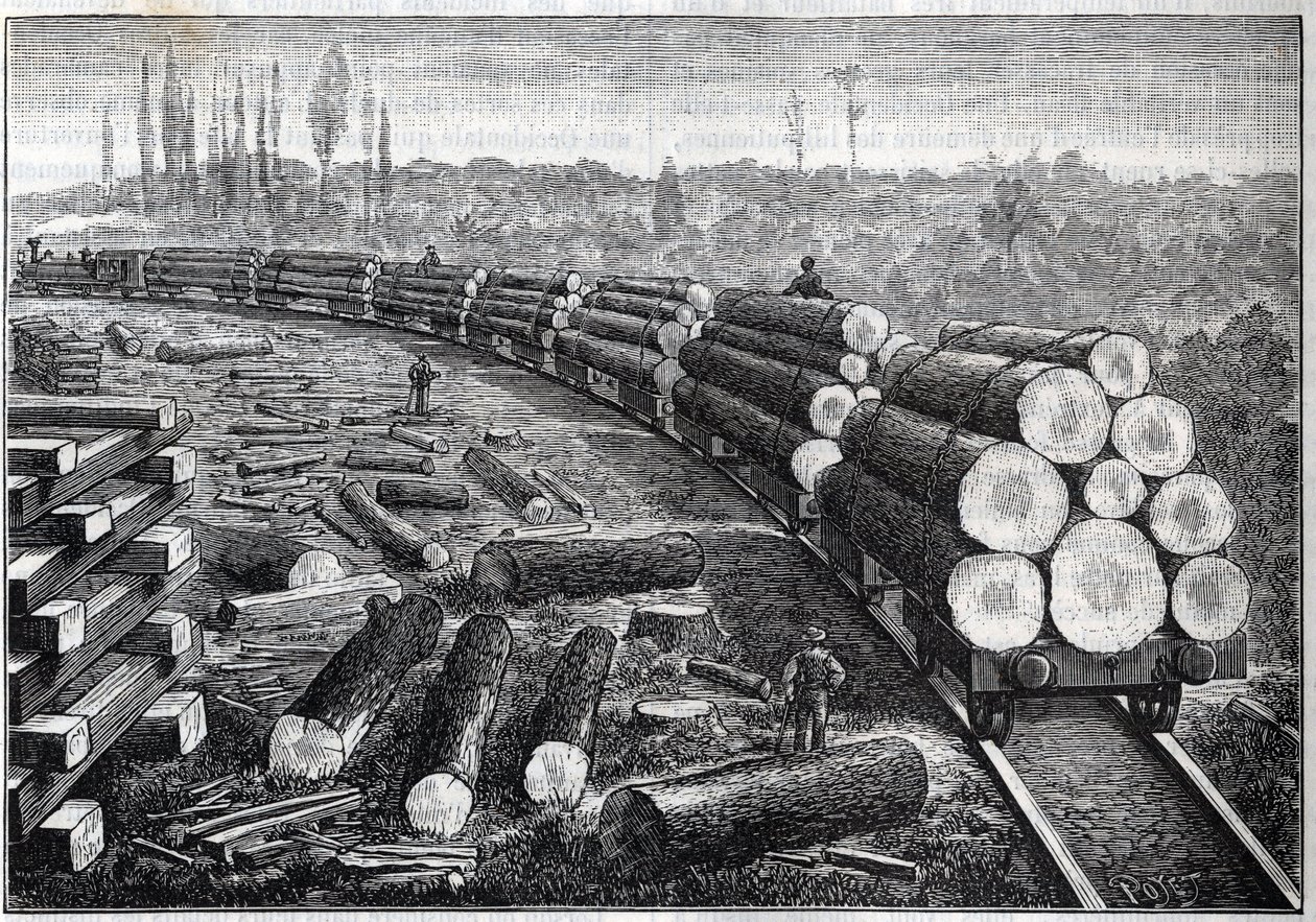 Amerika Birleşik Devletleri ormanlarının sömürülmesi. Ahşap raylı geçici demiryolları. Ağaç gövdeleri taşıyan vagonlar. “” La Nature” da gravür by Unknown artist