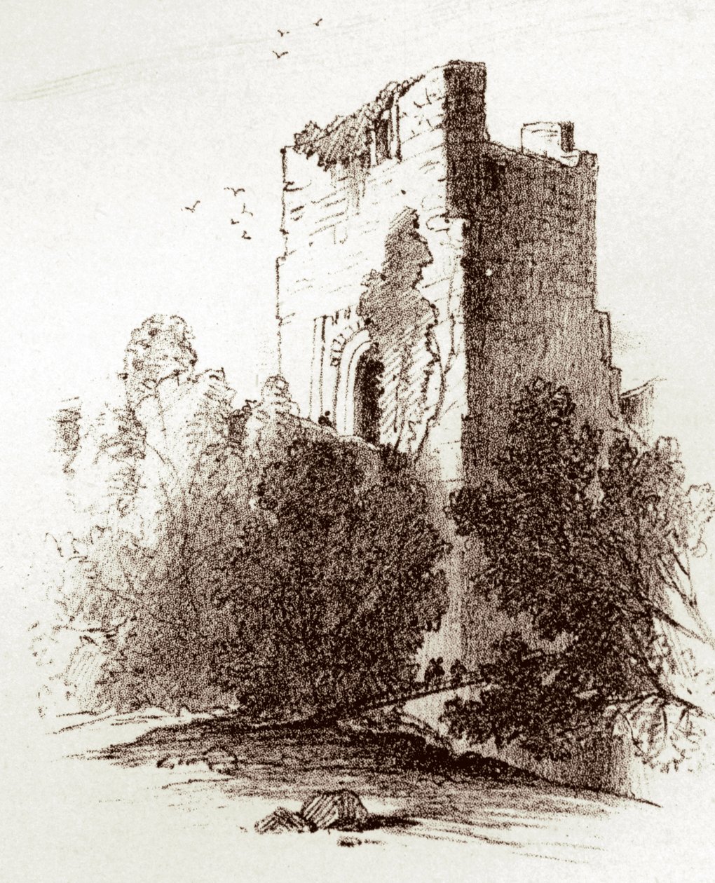 Farnham Kalesi (gravür) by Unknown artist