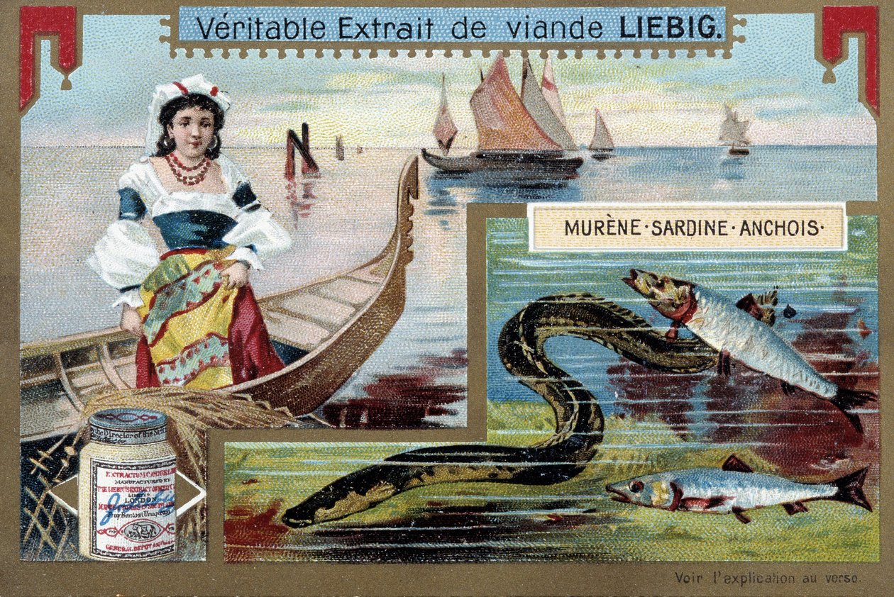 Balıkçı tekneleri ve balıklar (müren, sardalya, hamsi) - kromo. Liébig, v.1900 by Unknown artist
