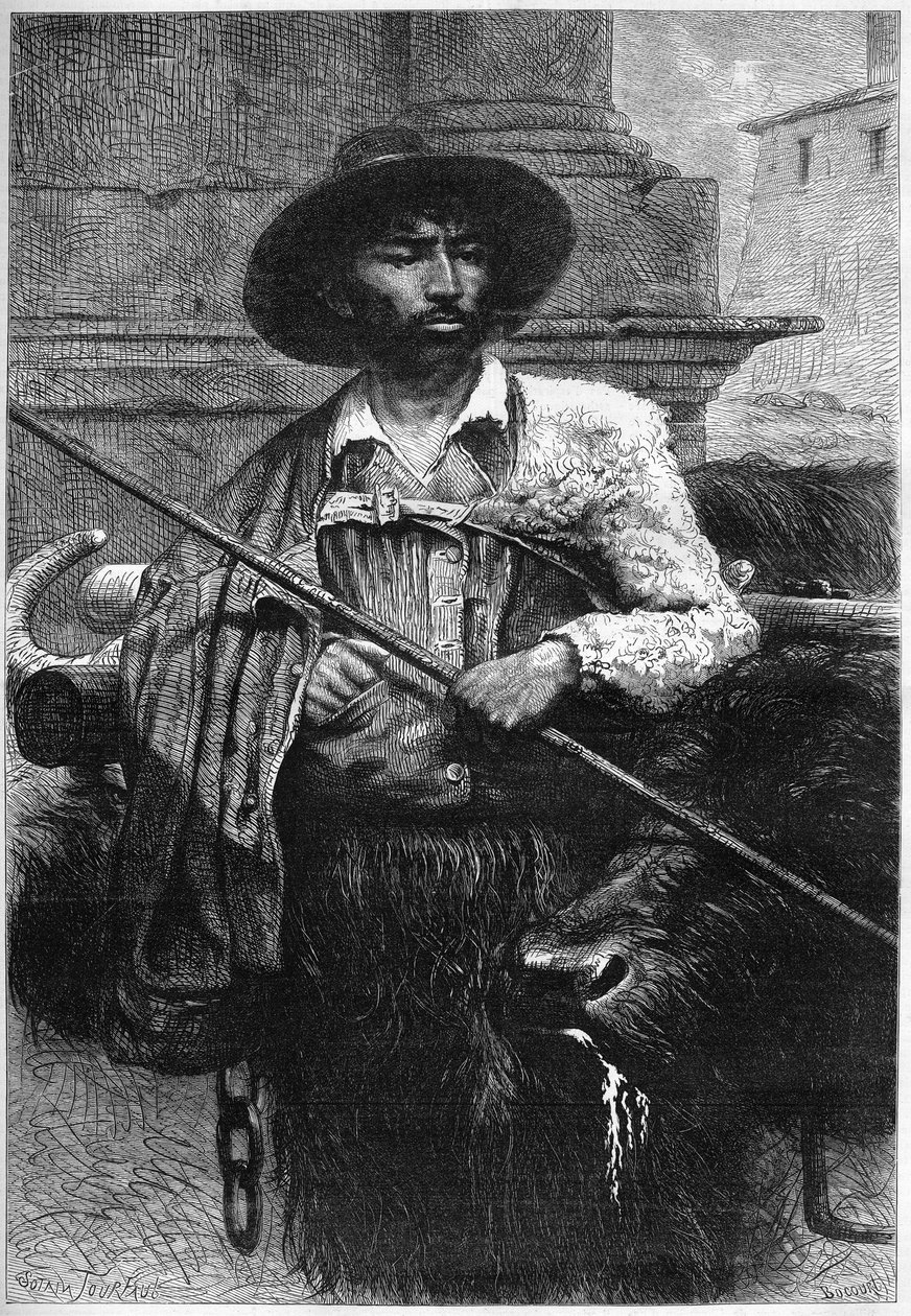Eski çiftçi: manda sürücüsü (mozzarella için manda yetiştiriciliği) “İllüstrasyonlu Dünya”da gravür by Unknown artist