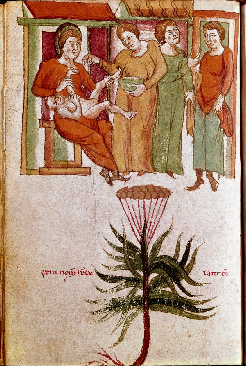 Bir çocuğa bakan dört kadın, çocuk bakımı ticareti yapıyor. (minyatür, 13. yüzyılın başı) by Unknown artist
