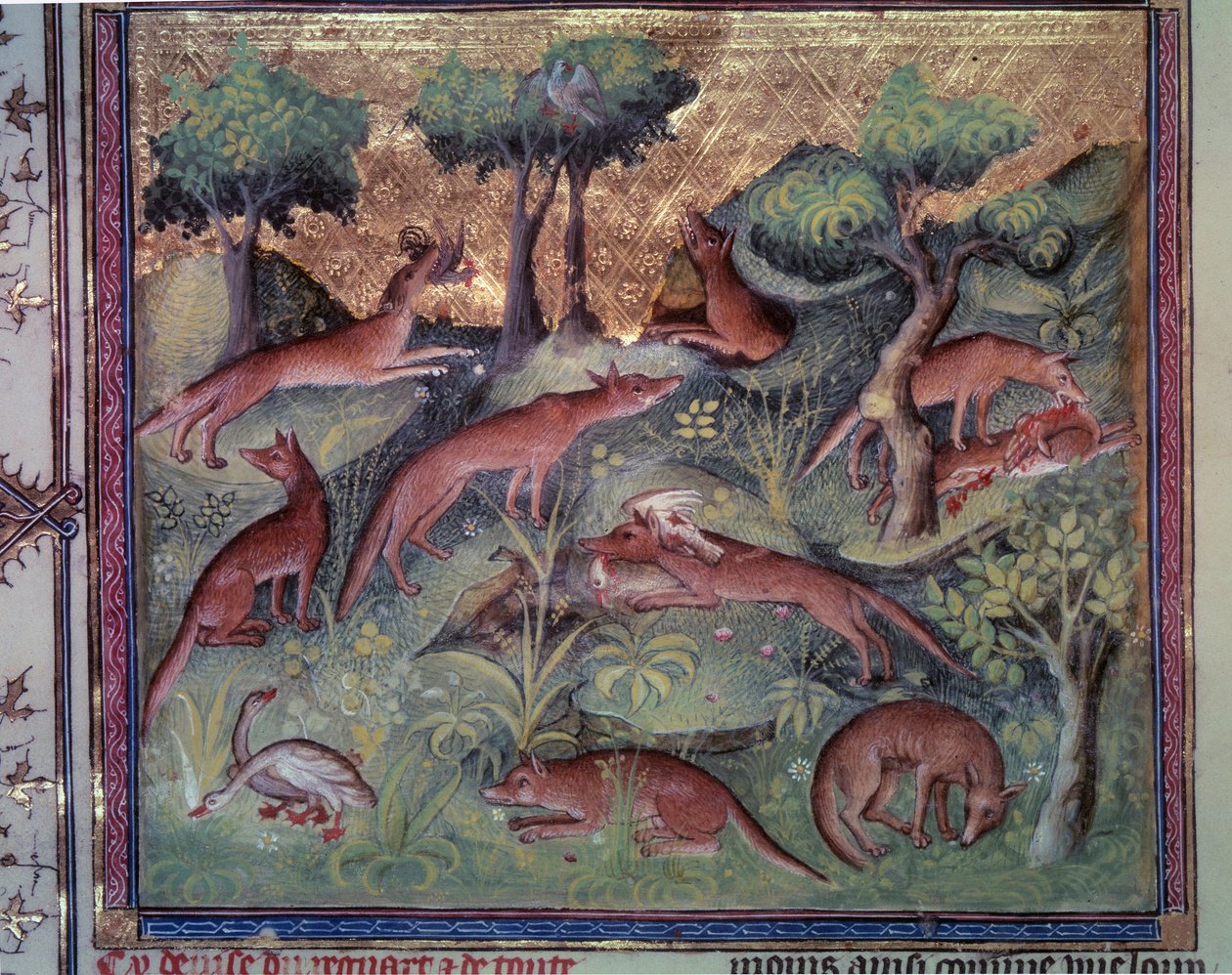 Tilki avcılığı kümes hayvanları. Gaston Phoebus (1331-1391) ve Gaston III Comte De Foix tarafından yazılan “Av Kitabı” (folio 34v) adlı el yazmasından minyatür by Unknown artist