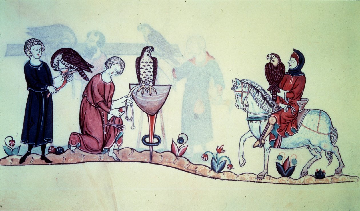 Frederic II (1194 - 1250) 1212'de Alman imparatoru. Minyatür 13. yüzyıldan kalma bir şahin avından geliyor. Paris. BN by Unknown artist