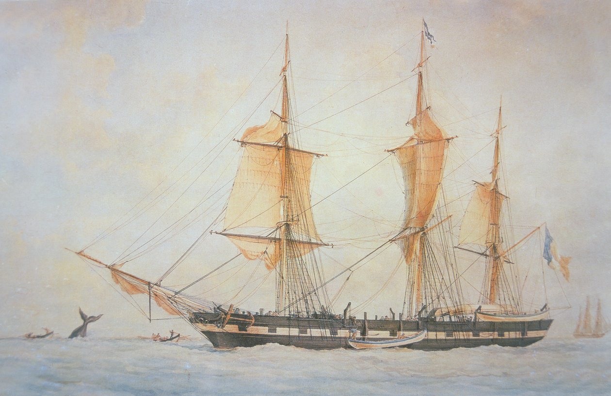 Fransız Balina Gemisi, c.1845 (renkli taş) by Unknown artist