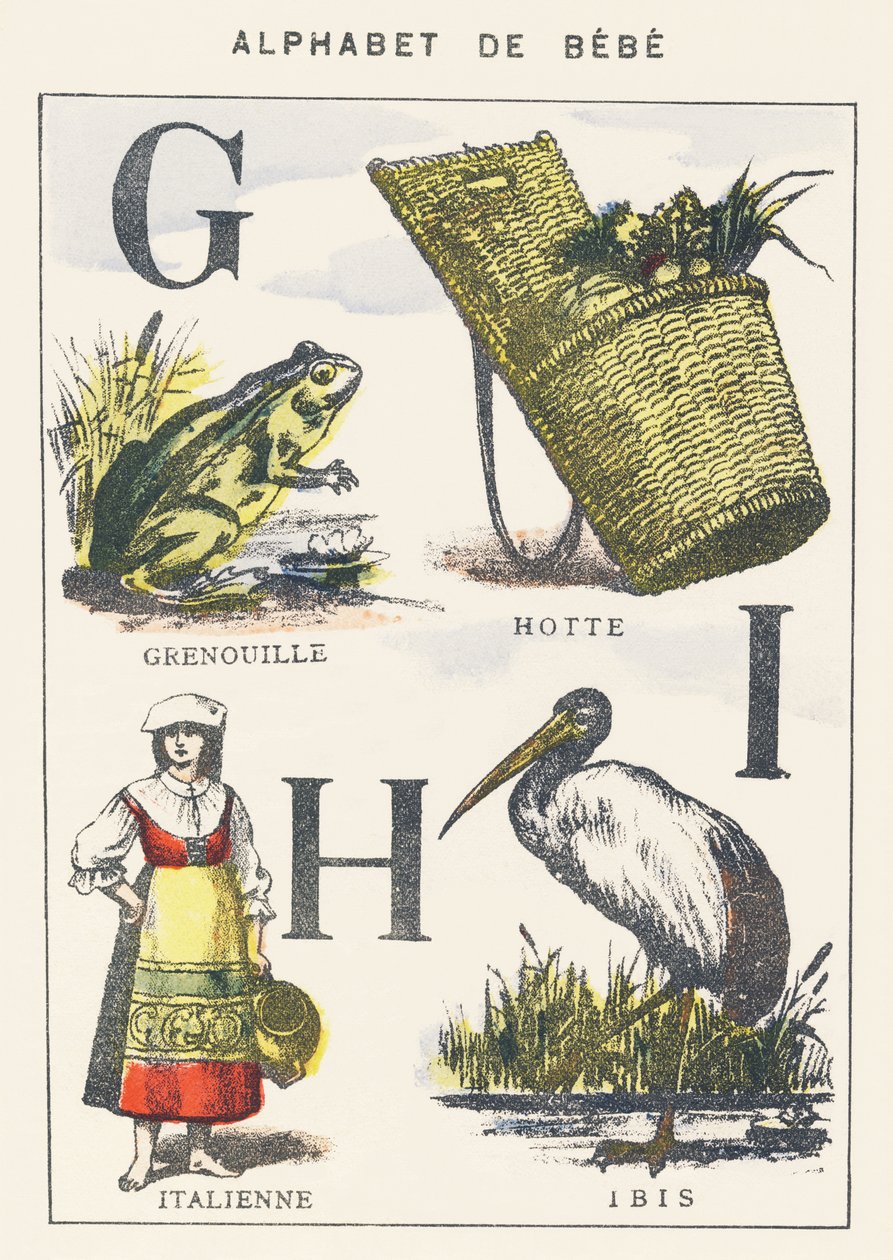 G H I: kurbağa, başlık, italyanca, ibis by Unknown artist