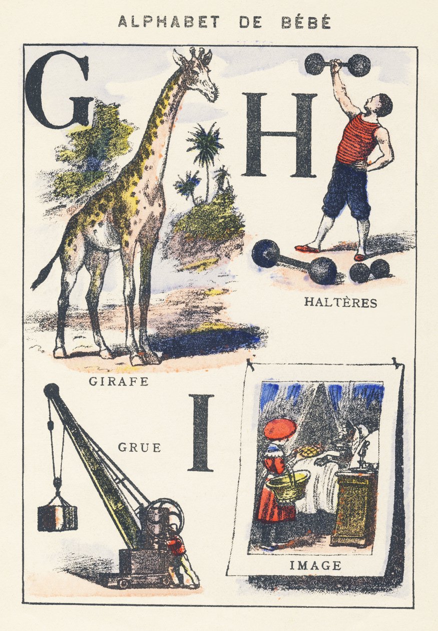 G H I: zürafa, vinç, halter, görüntü by Unknown artist