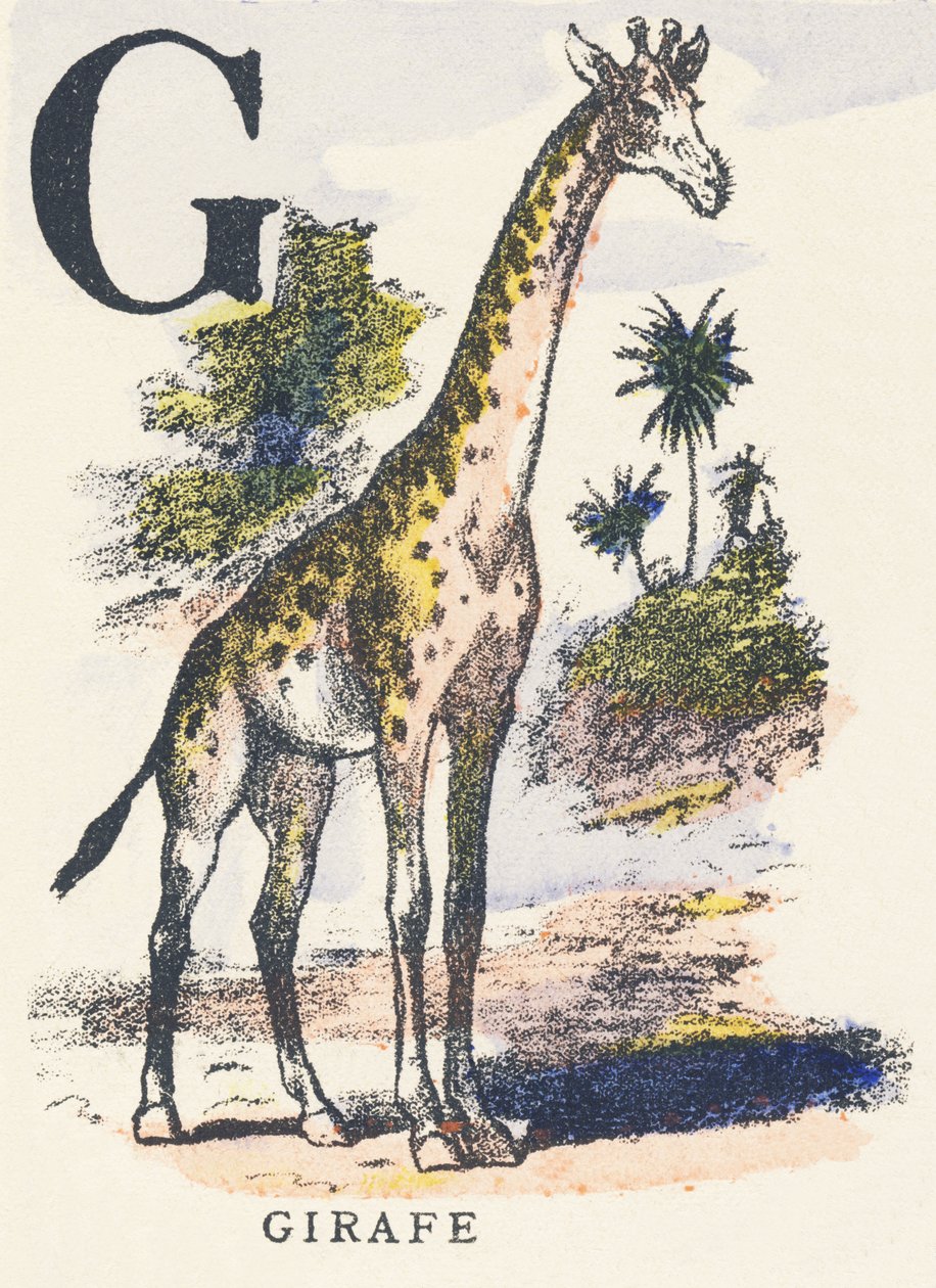 zürafa by Unknown artist