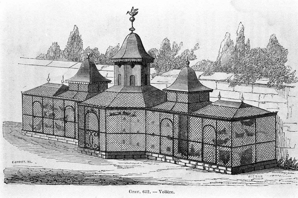 Bahçe kuşhanesi. gravür 19. yüzyıl. by Unknown artist