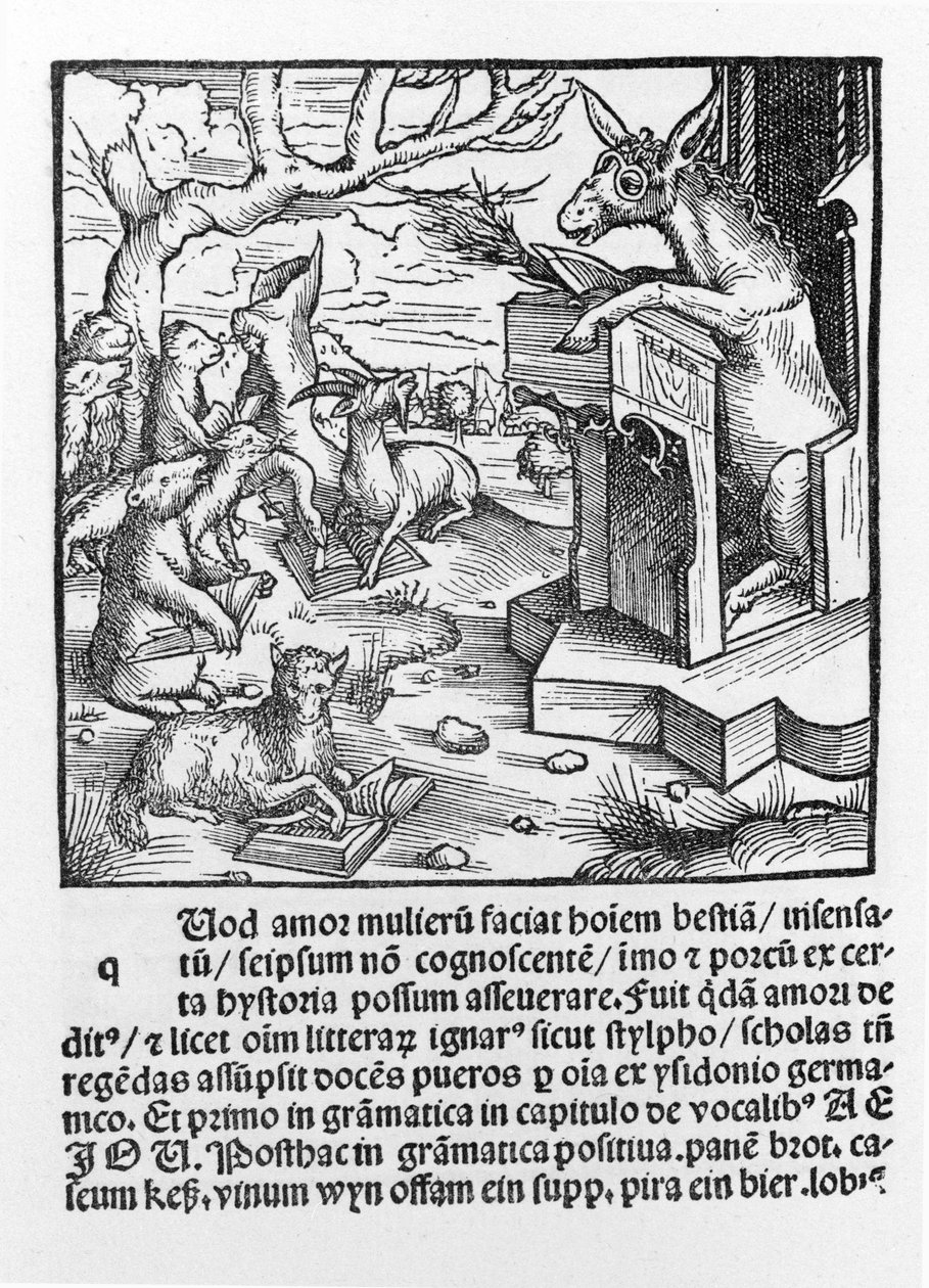 Bir eşeği bir orman hayvanı sınıfına öğretirken betimleyen Almanca incunable. 1490. by Unknown artist
