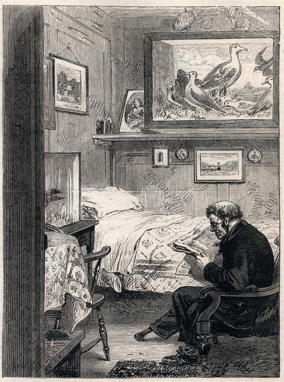 Greenwich Hastanesi Kabini Royal Charles Ward - 1865