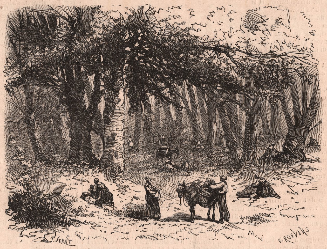 Fontainebleau ormanında mantar toplayan bir grup insan by Unknown