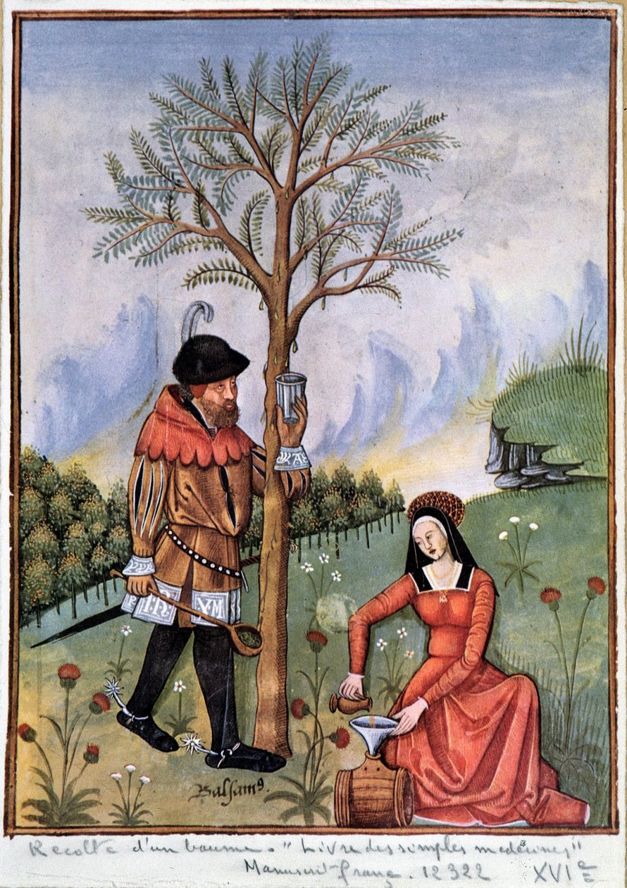 Balsam hasadı - Basit ilaçlar kitabı by Unknown artist