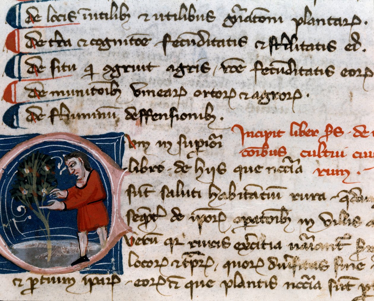 Bahçıvanlık: meyve hasadı. Detay. El yazması sayfası (MS.s.vi) Pietro de Crescenzi (Hilal Taşı veya Crescens Taşı) (1233-1320) tarafından yazılan “Tarımsal Tedavi” 14. yüzyıl Cesena, Biblioteca Malatestiana by Unknown artist