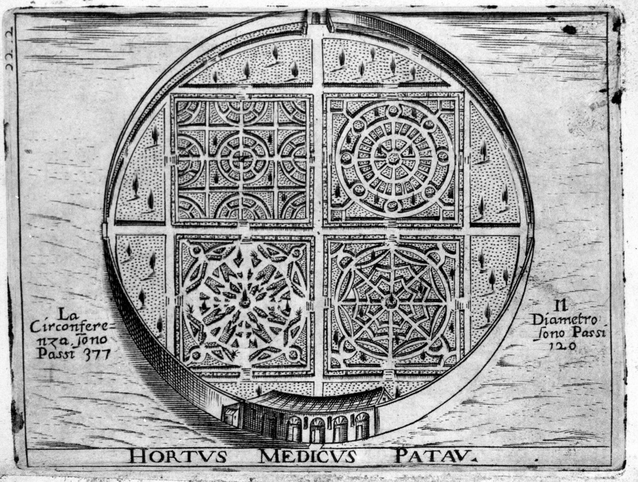 Padua Bahçesi: Padua Tıp Bahçesi. by Unknown artist