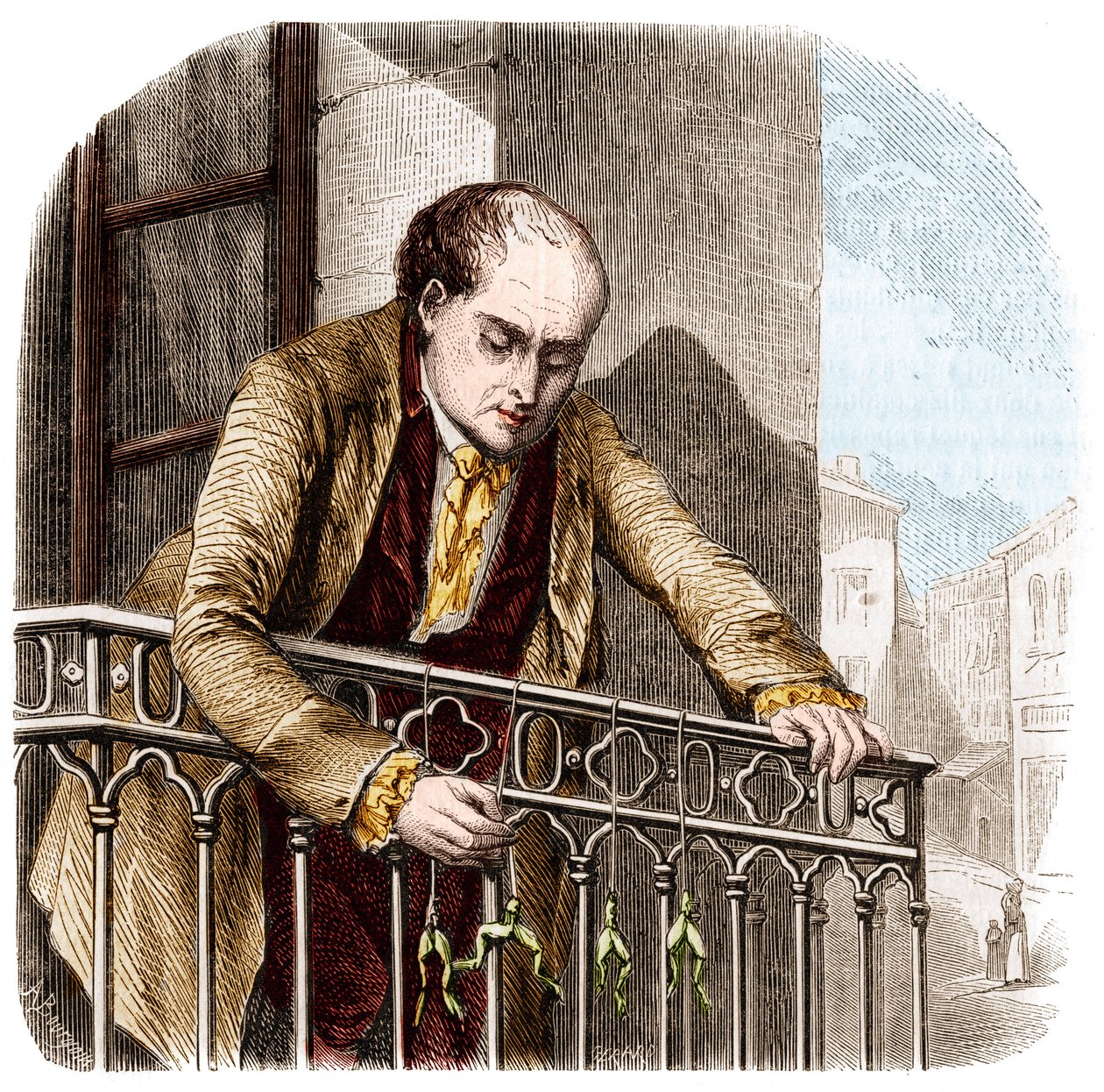 İtalyan fizikçi ve doktor Luigi Galvani