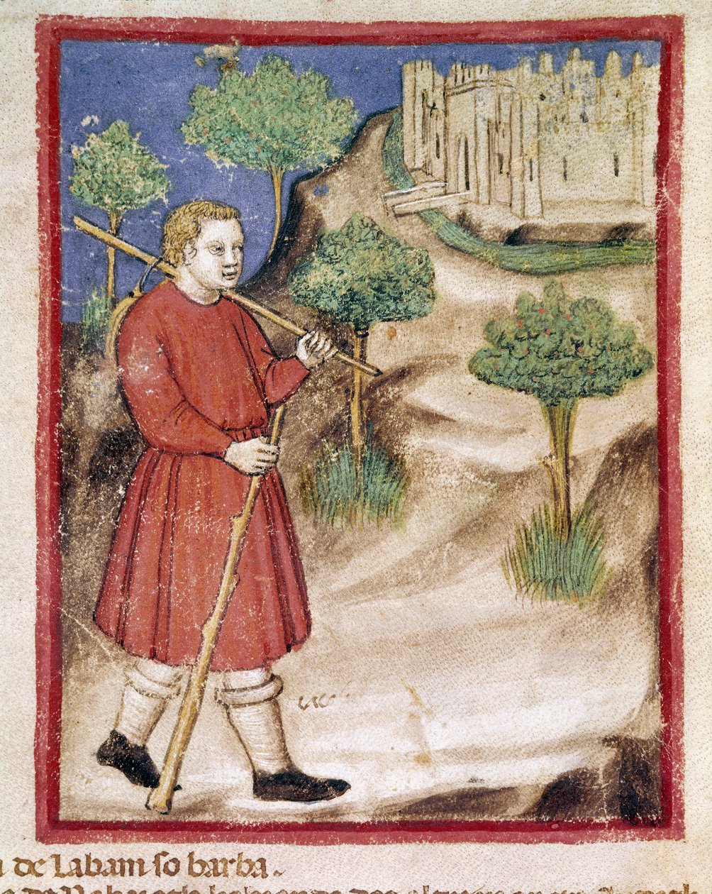 Jacob, Codex 212