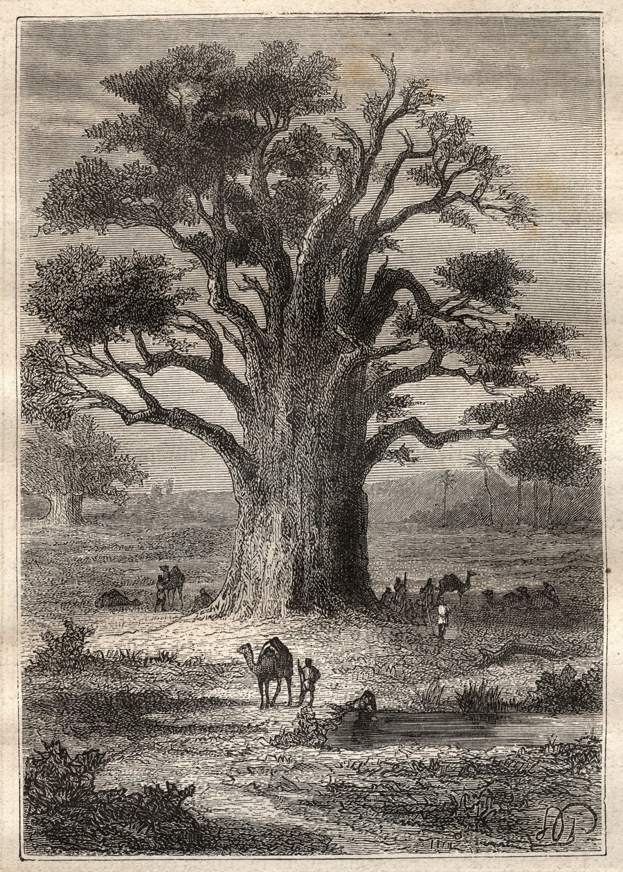 Yolculuk (1798) Frederic Conrad (Konrad) Hornemann (1772-1801) tarafından Fezzan