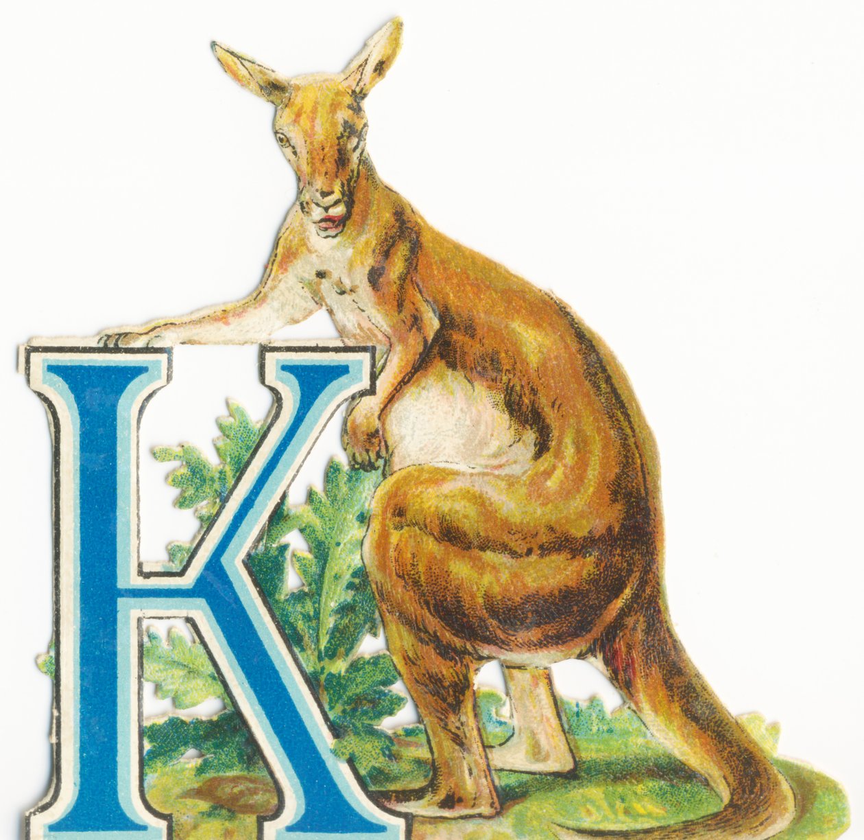 K: kanguru by Unknown artist
