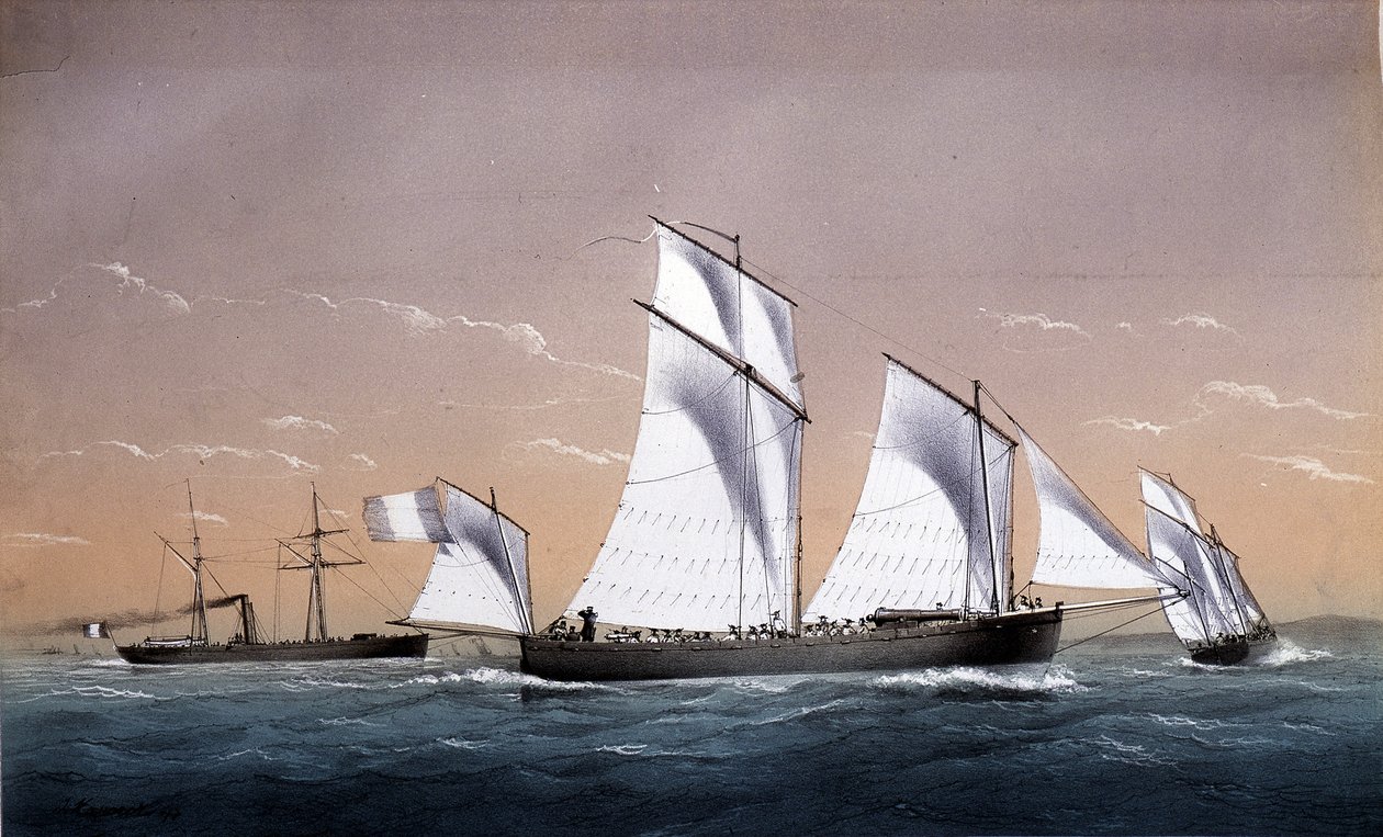 Evrensel Filo - ""1850 dolaylarında Deniz Piyadeleri""nde, A.D. by Unknown artist