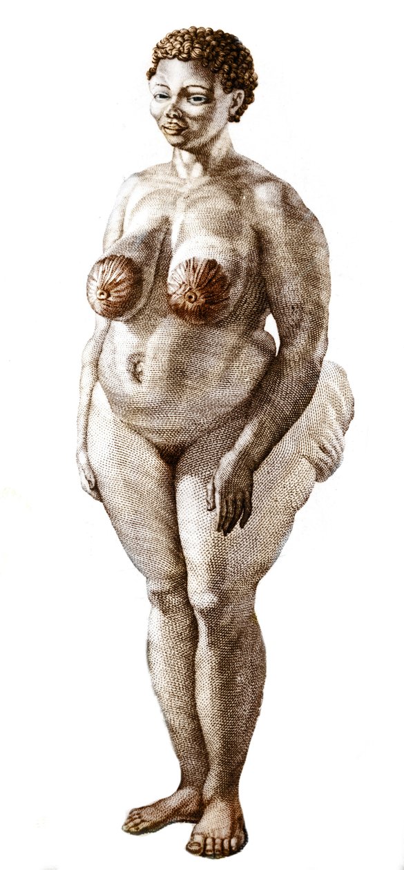 La Venus Hottentote, Bochiman (The Hottentot Venus,) cinsi kadın, 1815 gravürü. by Unknown artist