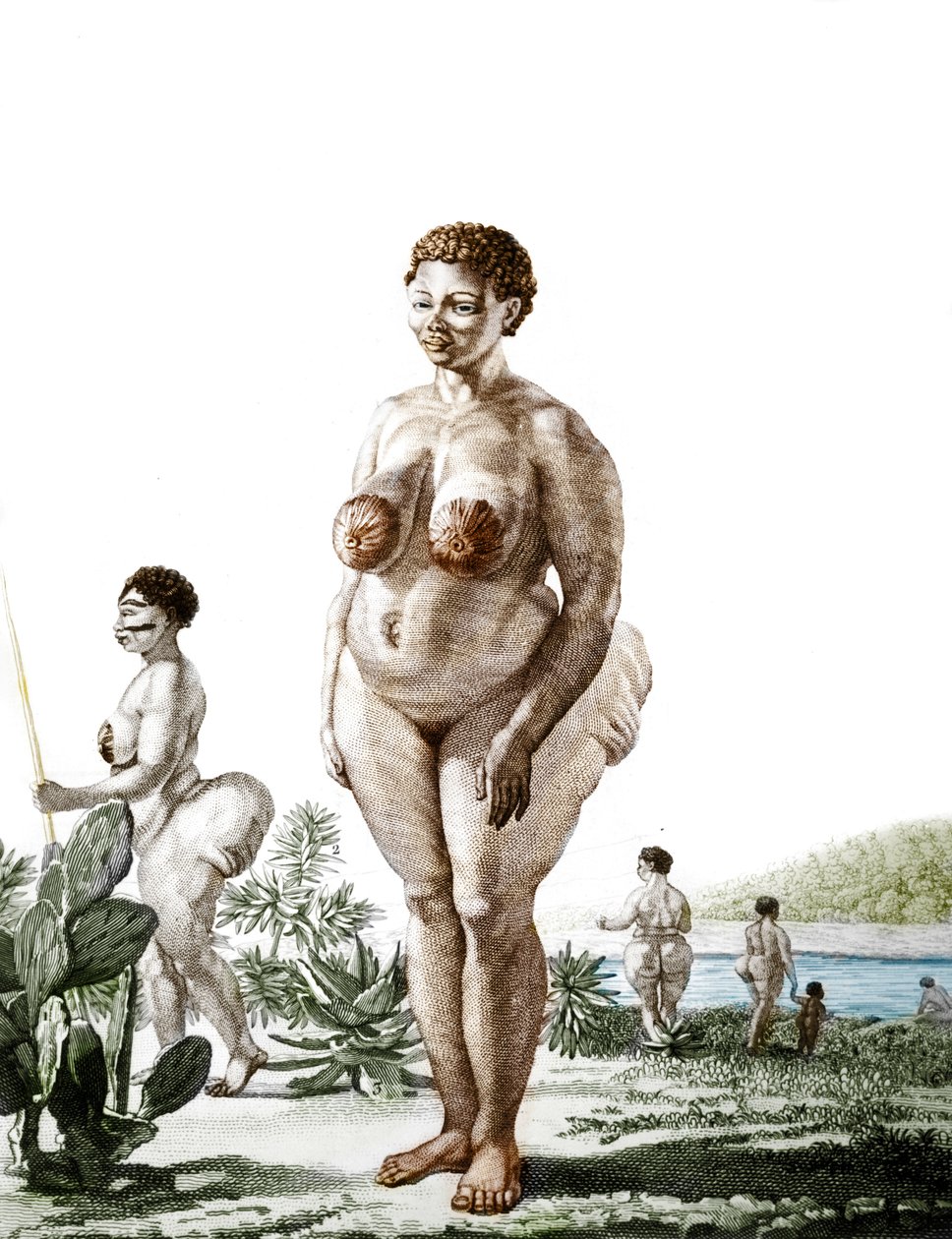 La Venus Hottentote, Bochiman (The Hottentot Venus,) cinsi kadın, 1815 gravürü. by Unknown artist