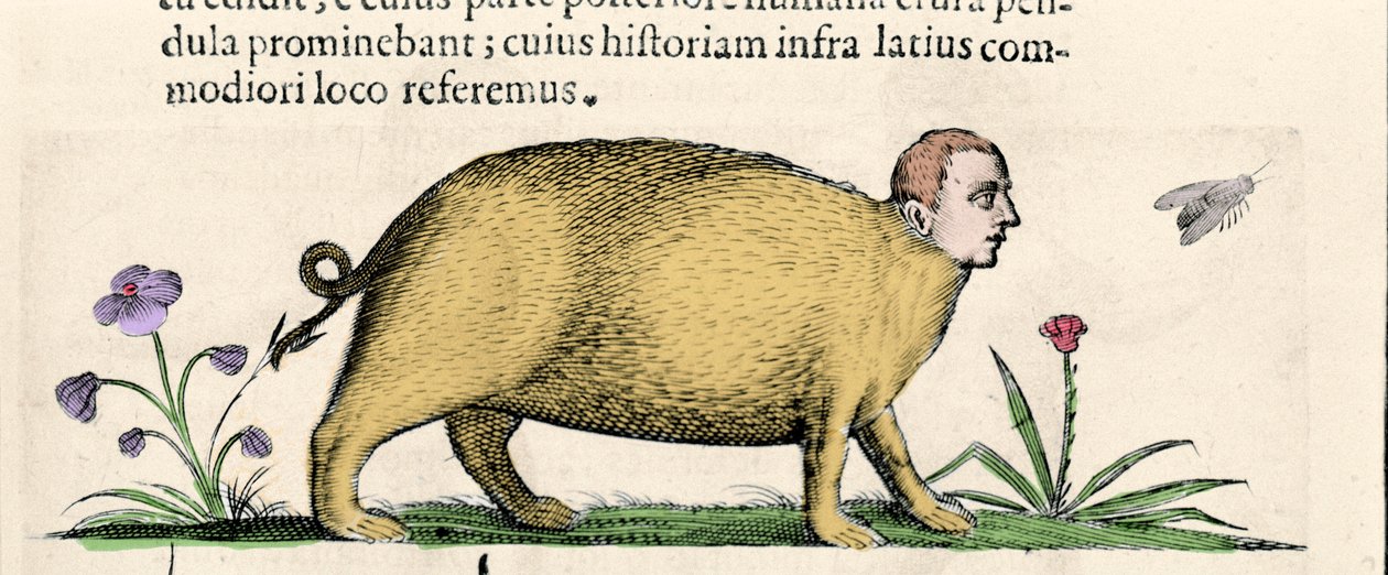 La manticore - Fortunio