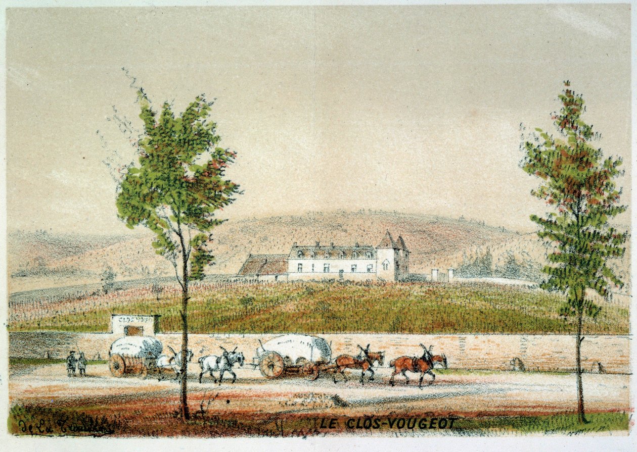 Le clos Vougeot, Cote d