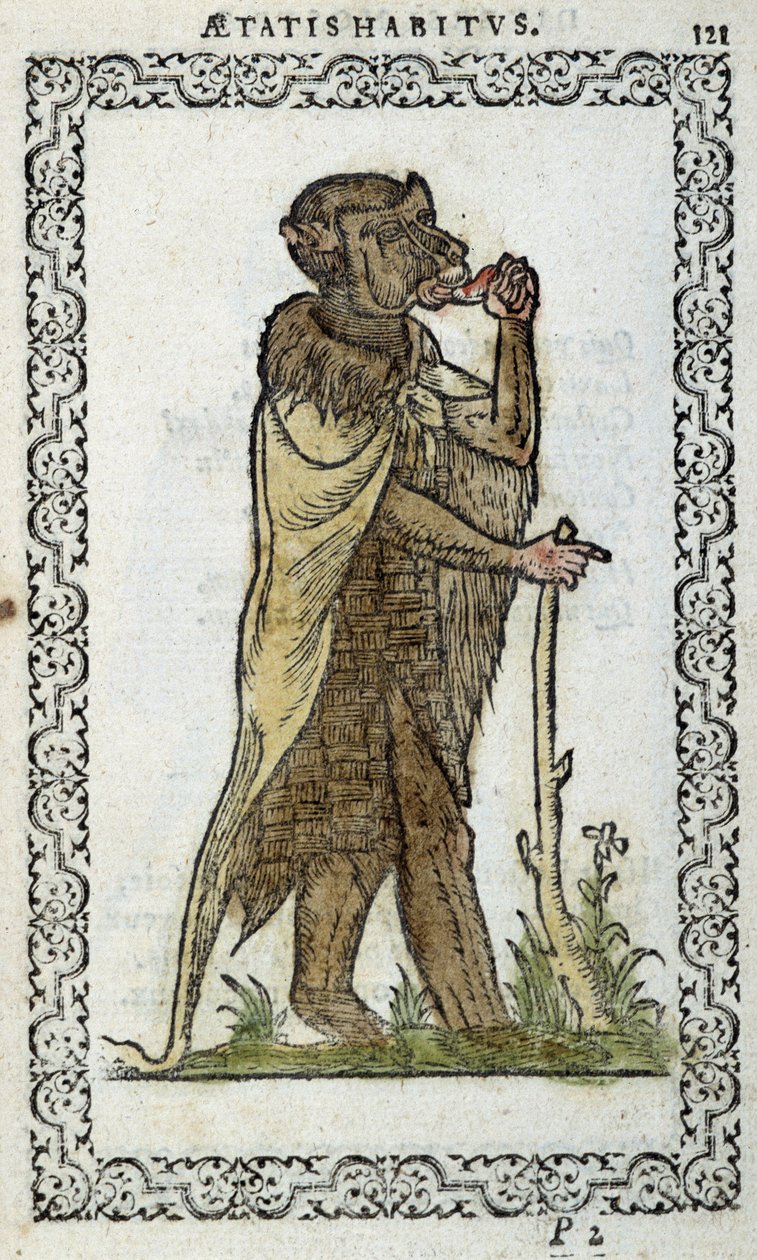 Ayakta duran monge - Jean Sulperius