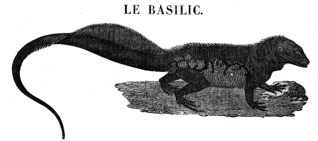 Efsanevi canavar: sürüngen Basil