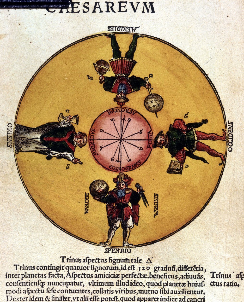 Les antipodes - 16. yüzyılın "astronomik sezarum" incelemesi. by Unknown artist