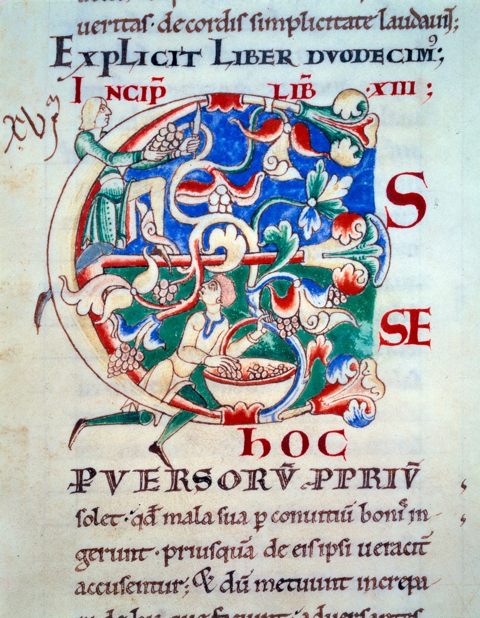 C harfi; 12. yüzyılın başlarında bir asma. Orta Çağ Minyatür. Gregoire Pope I için Citeaux Manastırı'ndan "Moralia in Job" adlı el yazması by Unknown artist