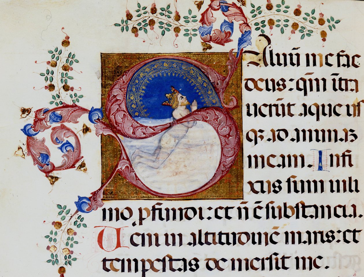 Lettrine S: Derin Işıkta David - 15. yüzyılın Antiphonary. Belediye Bibl. Rimini