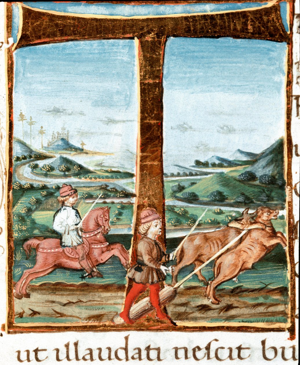 Bir binicinin ve bir öküz eğitmeninin Lettrine T dekoru - Virgil (Publius Vergilius Maro) (M.Ö. 70-19) (Ms IV E.12) tarafından “” The bucoliques” (Eglogues) adlı eserden alınan minyatür. 15. yüzyıl Napoli, Biblioteca Nazionale by Unknown artist