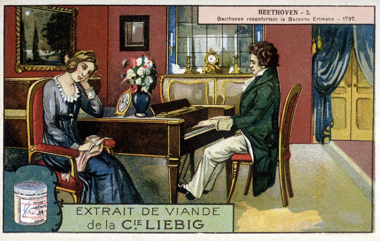Liebig kromolitografisi by Unknown artist