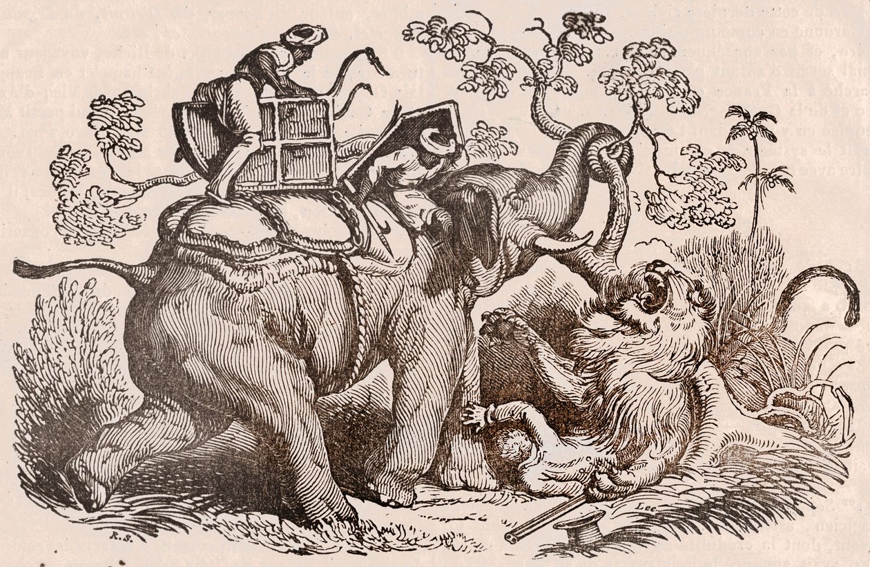 Aslan avı Sahne: avcı, filin mezarı, şimdi aslanın pençelerinde (gravür) by Unknown artist