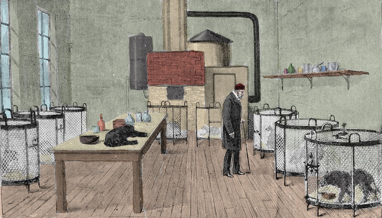 Louis Pasteur (1822-1895), Paris